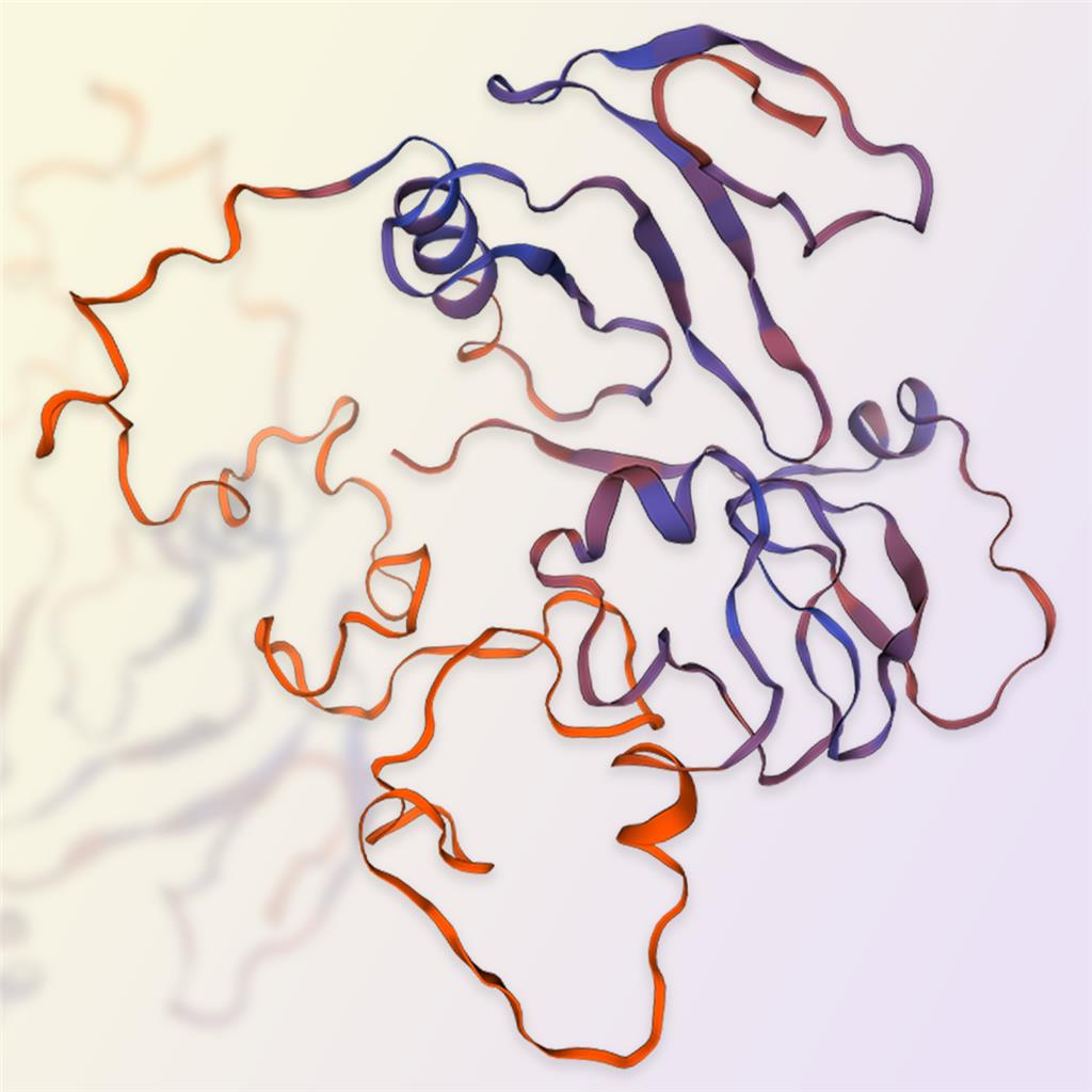 IGFBP3蛋白-ACROBiosystems百普赛斯