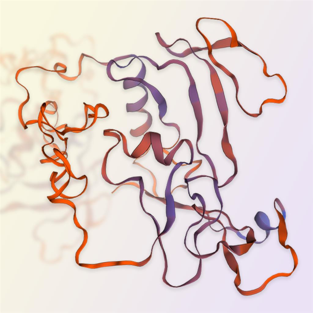 IGFBP4蛋白-ACROBiosystems百普赛斯