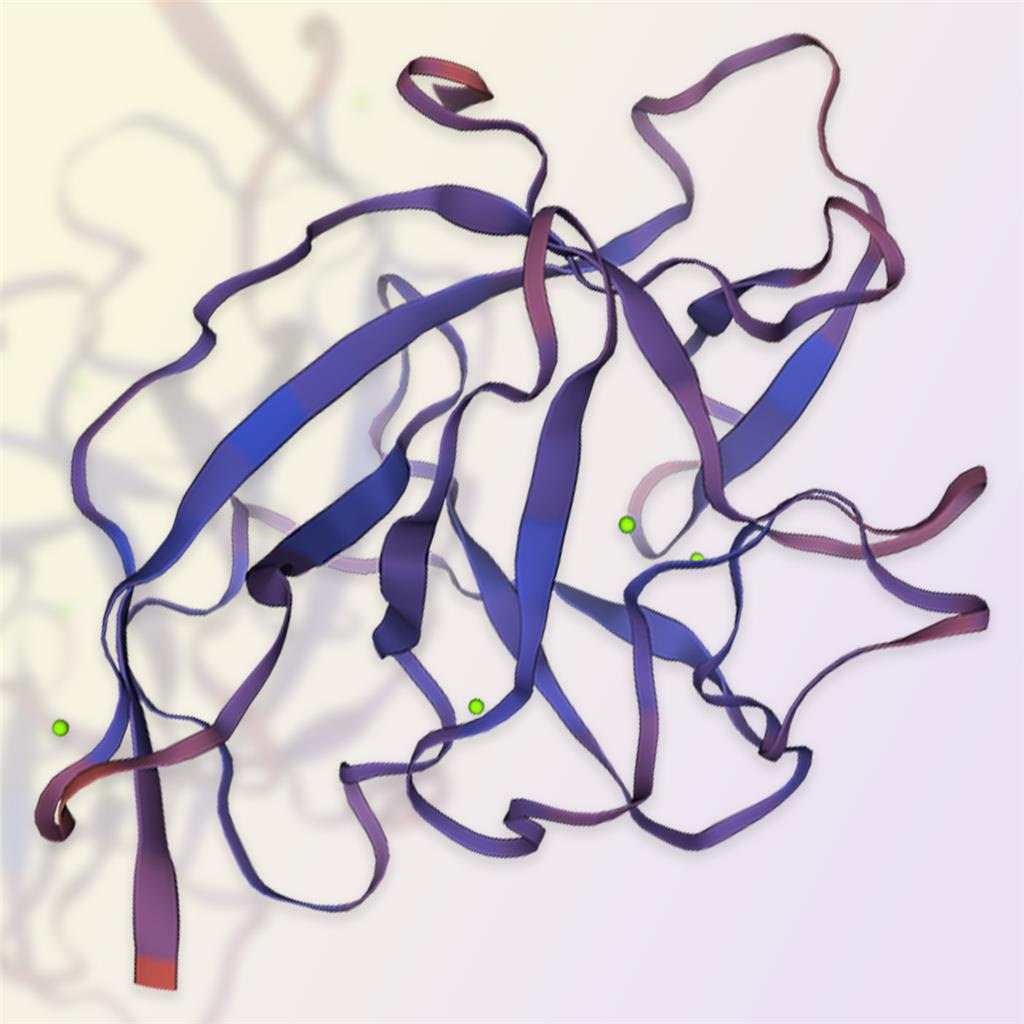 IL-1 alpha重组蛋白-ACROBiosystems百普赛斯