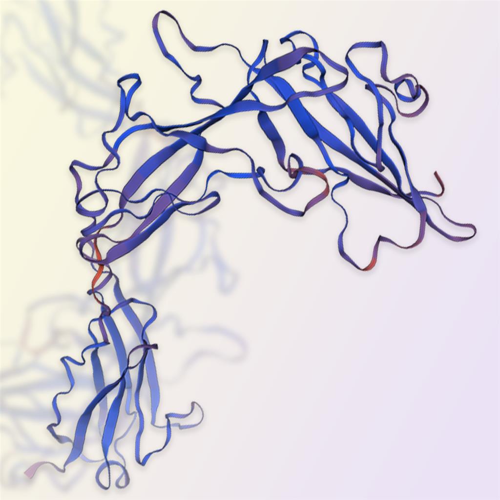 IL-1R1蛋白-ACROBiosystems百普赛斯