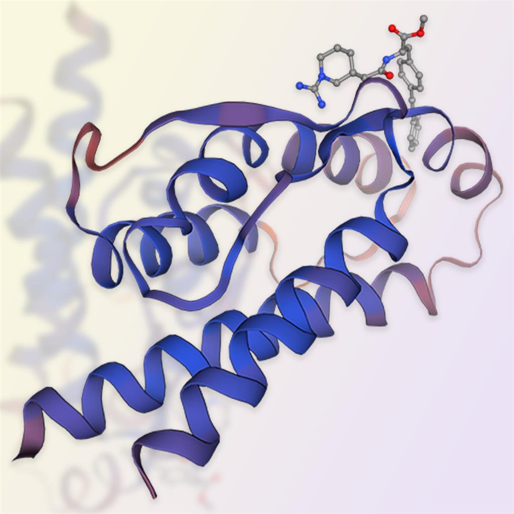 IL-2细胞因子 ACROBiosystems百普赛斯