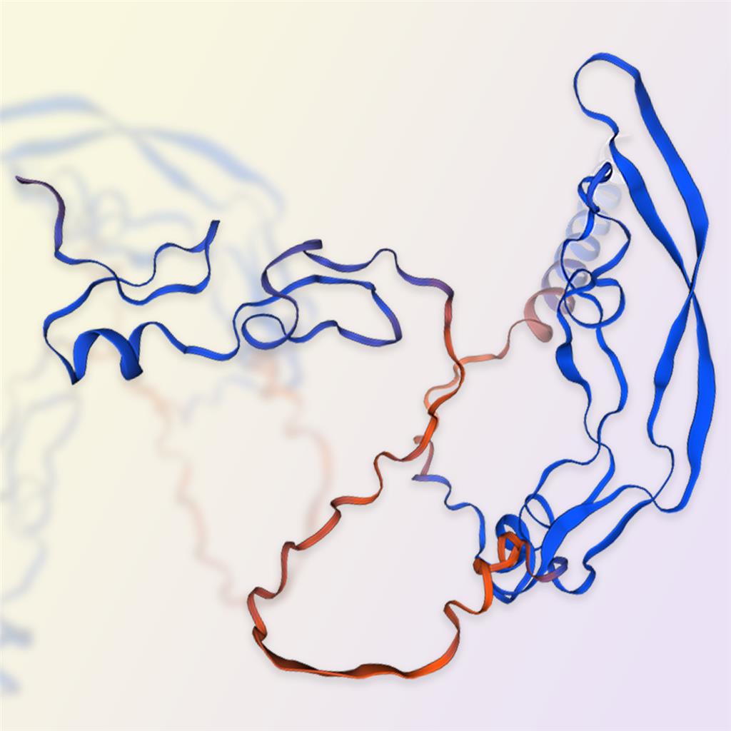 VEGF164/VEGFA重组蛋白，ACROBiosystems百普赛斯