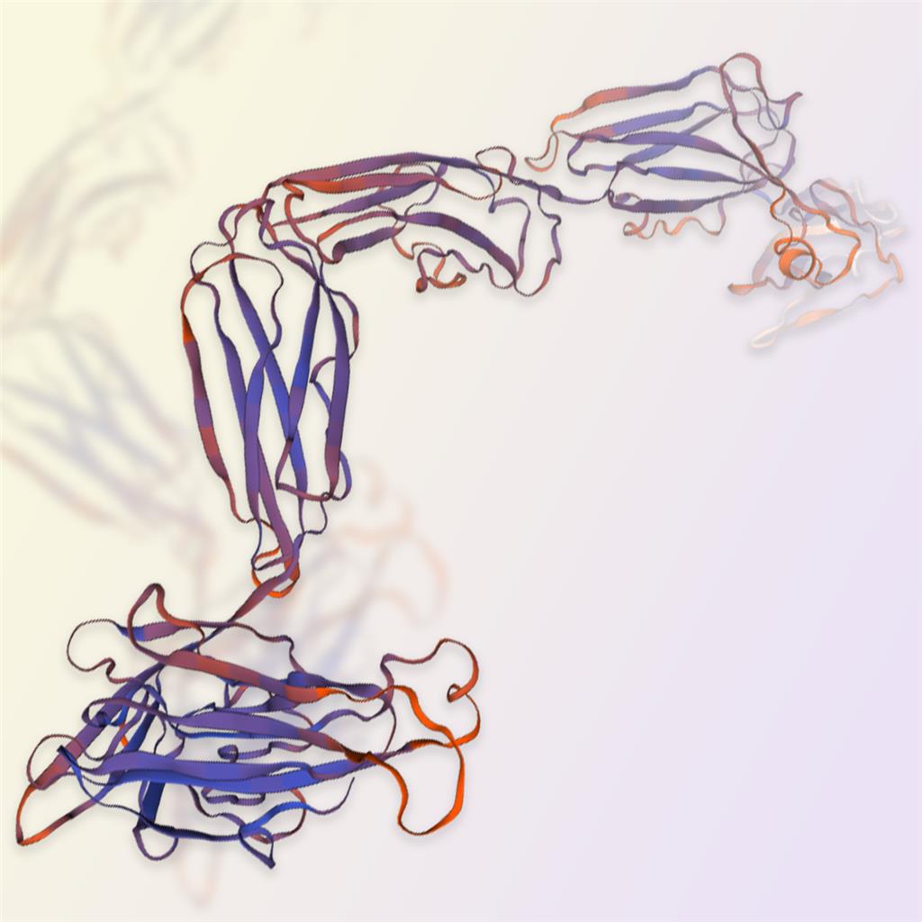 VEGFR1重组蛋白-ACROBiosystems百普赛斯