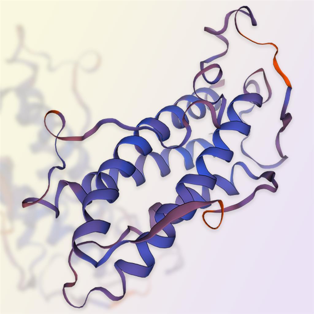 重组人IL-12蛋白-ACROBiosystems百普赛斯
