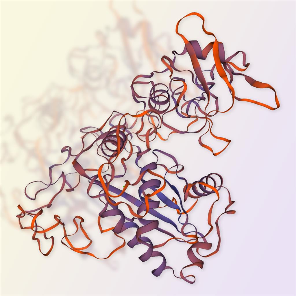 ADAM9重组蛋白，ACROBiosystems百普赛斯