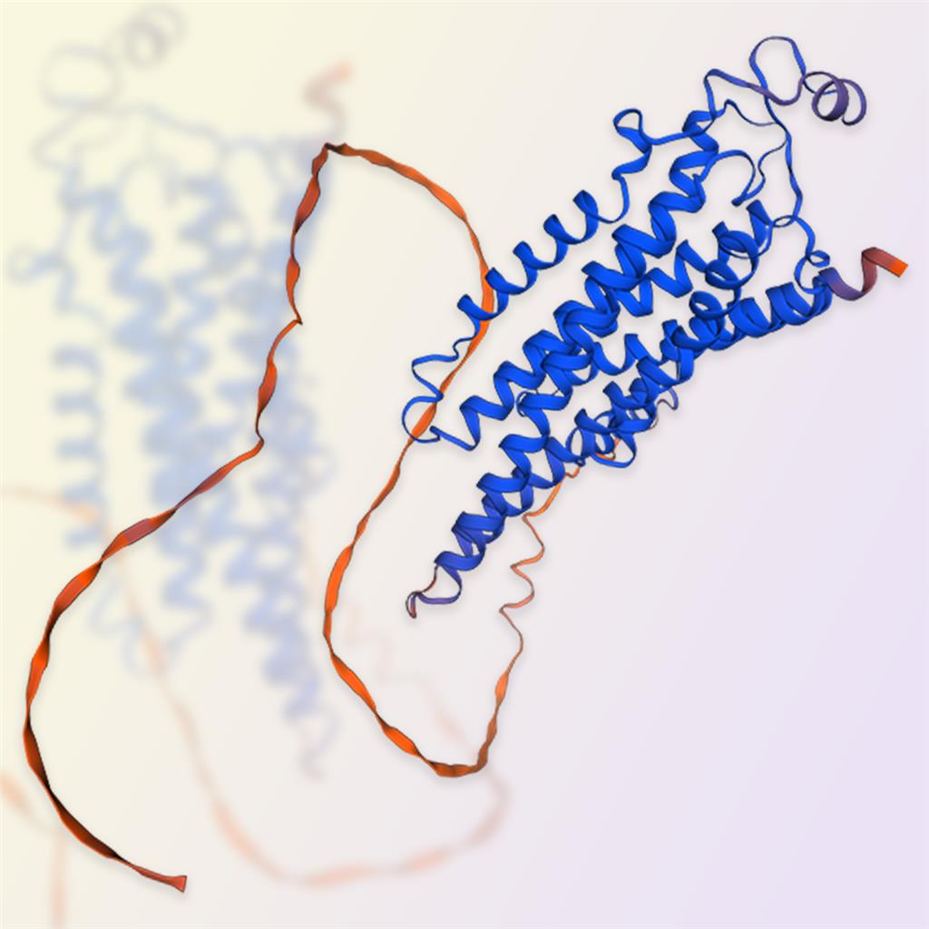 ADORA2A蛋白-ACROBiosystems百普赛斯