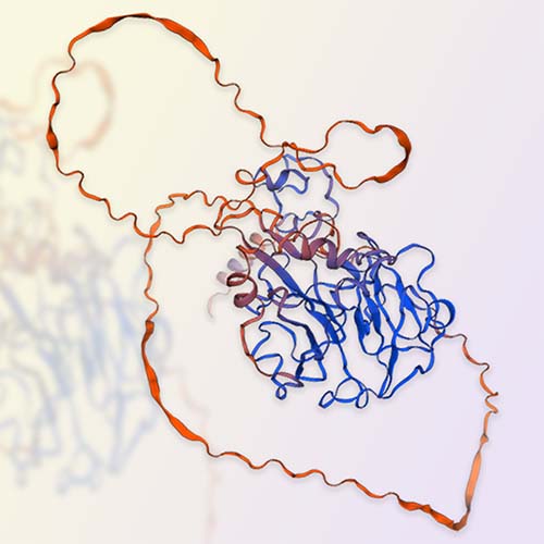 玻连蛋白Vitronectin，ACROBiosystems百普赛斯