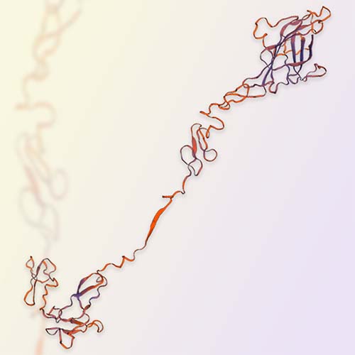 DLL3重组蛋白 ACROBiosystems百普赛斯