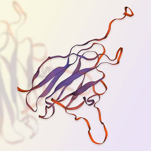 CD7重组蛋白，ACROBiosystems百普赛斯