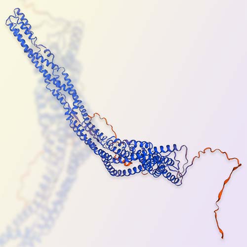 CD133重组蛋白，ACROBiosystems百普赛斯