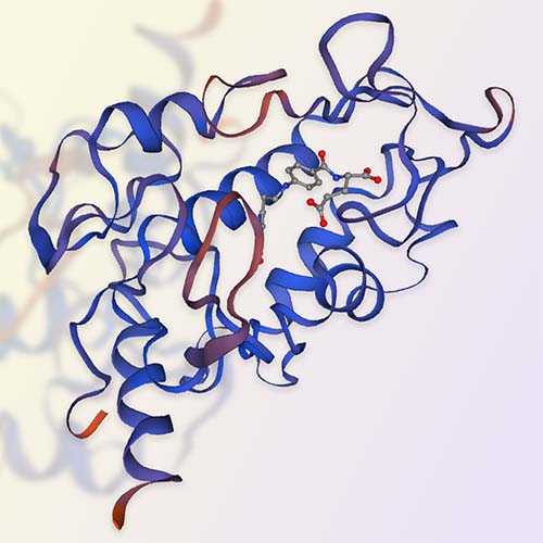 FOLR1蛋白/叶酸受体α ACROBiosystems百普赛斯