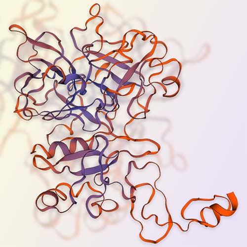 PLAU重组蛋白，ACROBiosystems百普赛斯