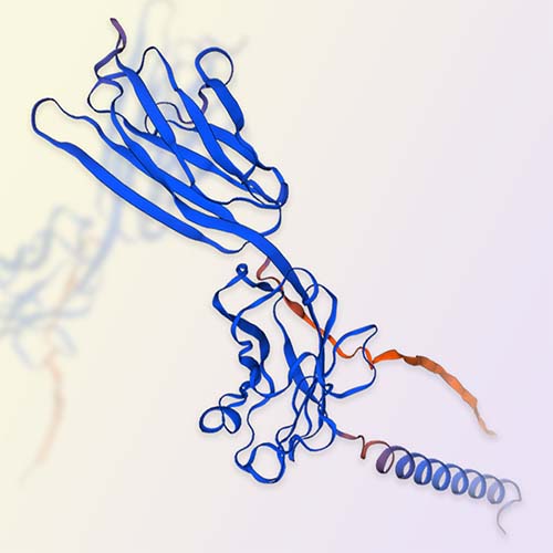 B7-H4重组蛋白，ACROBiosystems百普赛斯