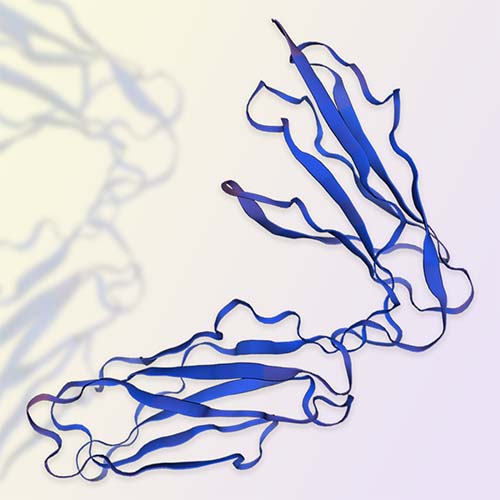 NKp46重组蛋白，ACROBiosystems百普赛斯