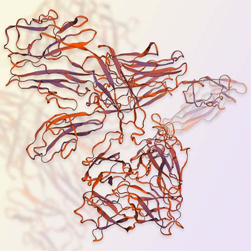 PTK7重组蛋白，ACROBiosystems百普赛斯