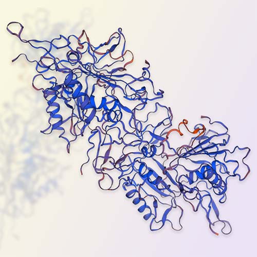 重组人TROP-2蛋白-ACROBiosystems百普赛斯