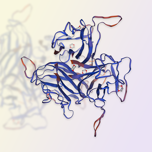 BAFF重组蛋白，ACROBiosystems百普赛斯