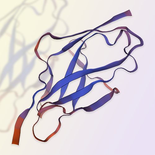 BTLA重组蛋白，ACROBiosystems百普赛斯