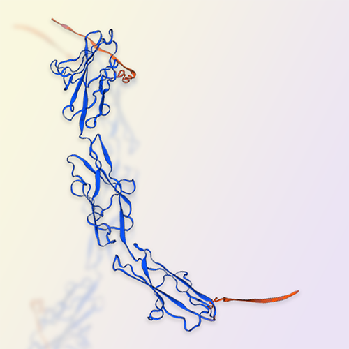 CEACAM6重组蛋白，ACROBiosystems百普赛斯