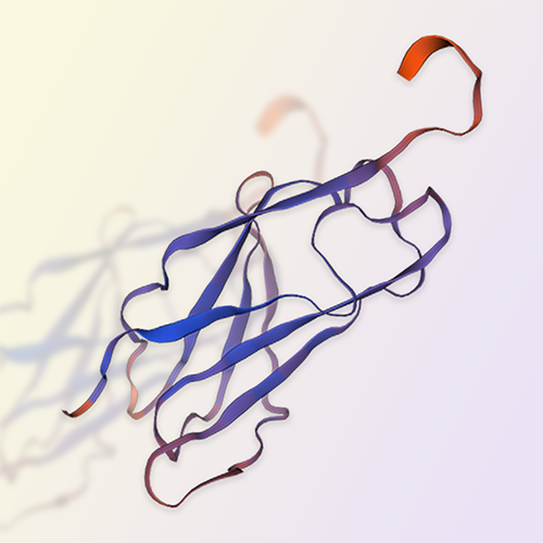 LAIR1/CD305重组蛋白-ACROBiosystems百普赛斯