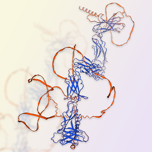 重组人瘦素受体蛋白Leptin R（LEPR）