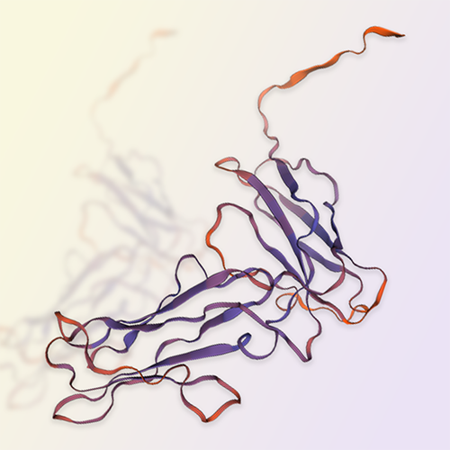 LILRB4重组蛋白，ACROBiosystems百普赛斯