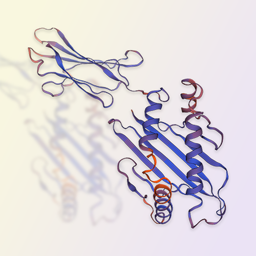 MICA重组蛋白，ACROBiosystems百普赛斯