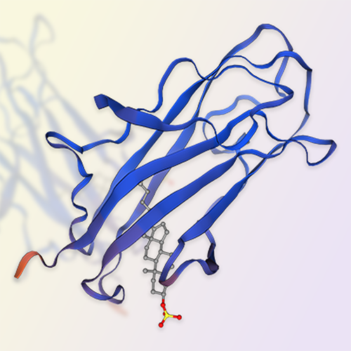 NPC2/HE1蛋白-ACROBiosystems百普赛斯