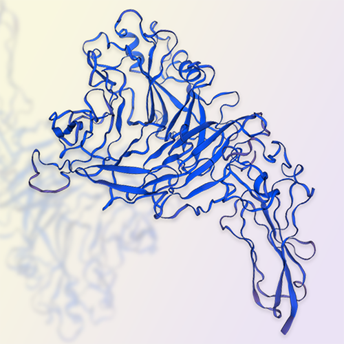 Semaphorin 7A/SEMA7A蛋白-ACROBiosystems百普赛斯