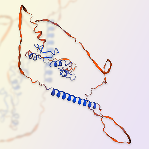 TACI重组蛋白，ACROBiosystems百普赛斯