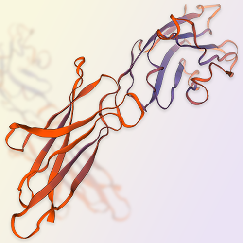 VSIG2蛋白-ACROBiosystems百普赛斯