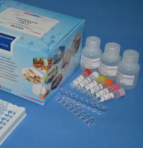 小鼠白细胞介素6(IL-6)ELISA试剂盒