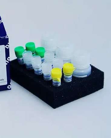 小鼠脂多糖/内毒素(LPS)ELISA试剂盒