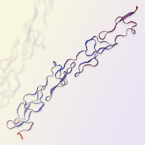 重组人CD40/TNFRSF5蛋白-ACROBiosystems百普赛斯