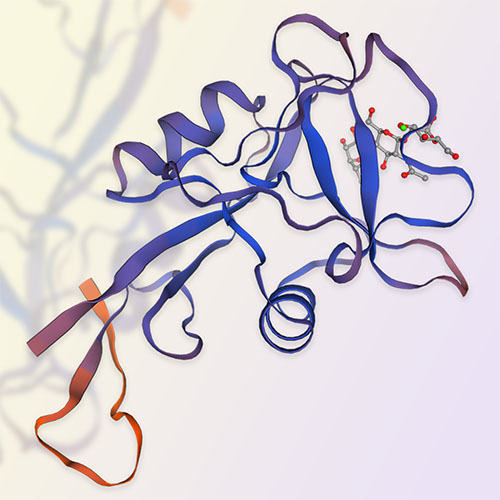 重组人CLEC4C/BDCA2蛋白-ACROBiosystems百普赛斯