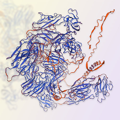 CSPG4重组蛋白-ACROBiosystems百普赛斯