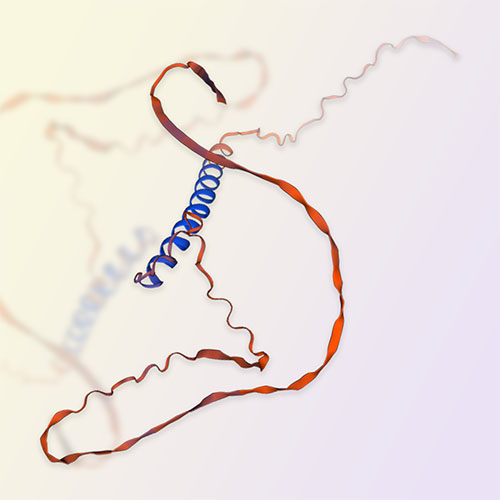 CD235a/Glycophorin-A蛋白-ACROBiosystems百普赛斯