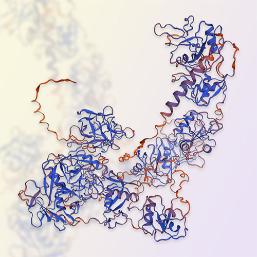 LY75重组蛋白-ACROBiosystems百普赛斯