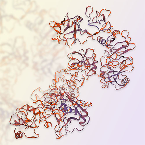 MRC2蛋白-ACROBiosystems百普赛斯