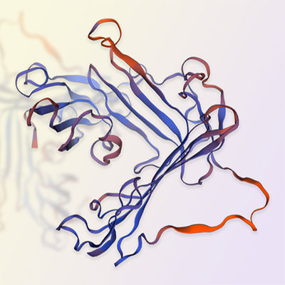 uPAR重组蛋白，ACROBiosystems百普赛斯