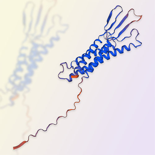 Claudin-1/CLDN1蛋白-ACROBiosystems百普赛斯