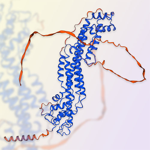 Glypican-1/GPC1蛋白-ACROBiosystems百普赛斯