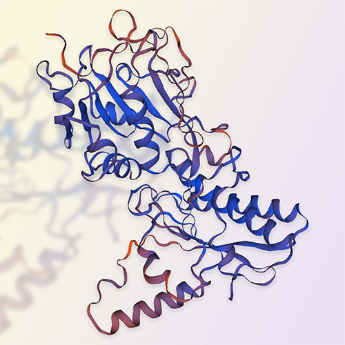 重组人GUCY2C蛋白-ACROBiosystems百普赛斯