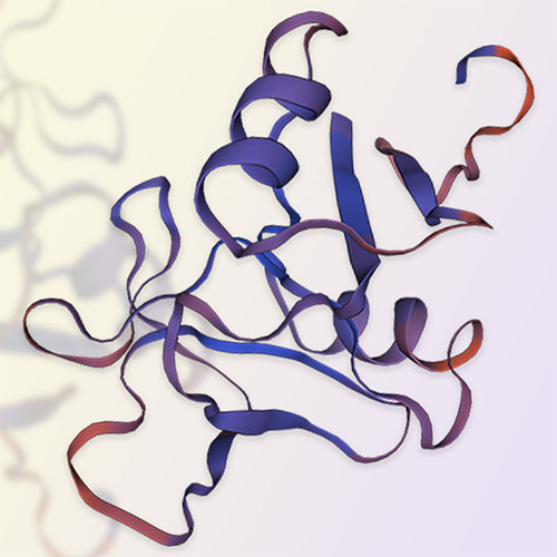 KLRG1重组蛋白，ACROBiosystems百普赛斯