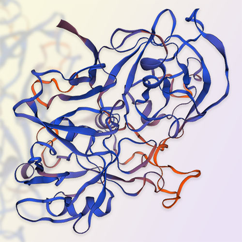 RENIN/REN蛋白-ACROBiosystems百普赛斯