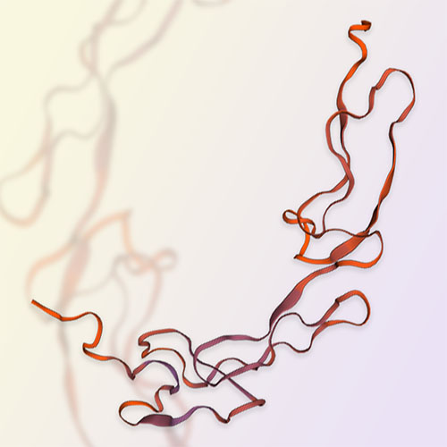 TRAILR2重组蛋白-ACROBiosystems百普赛斯