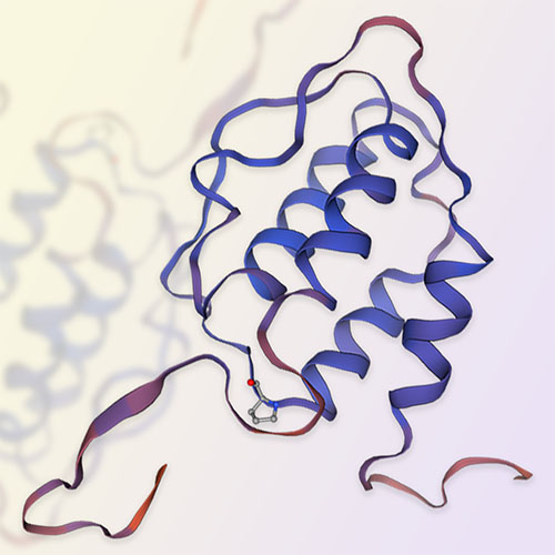 IL-3重组蛋白，ACROBiosystems百普赛斯