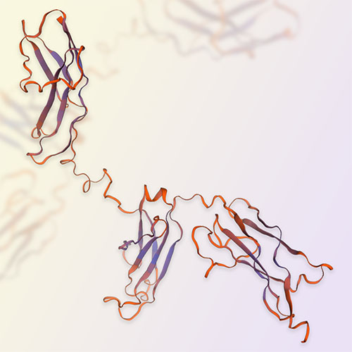 IL-5Ra重组蛋白-ACROBiosystems百普赛斯