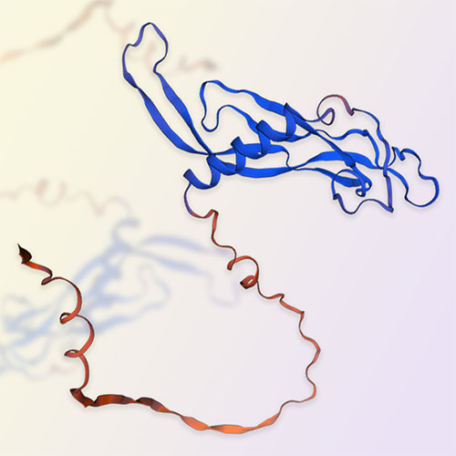 白介素IL-17B蛋白-ACROBiosystems百普赛斯