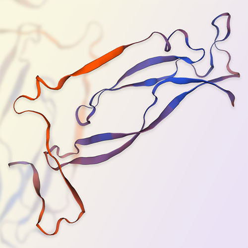 IL-17A/白介素17A，ACROBiosystems百普赛斯